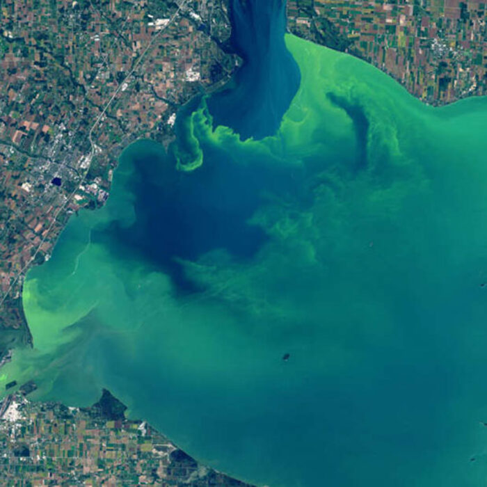 That's eerie, isn't it? Image: Landsat 8/NASA/NOAA