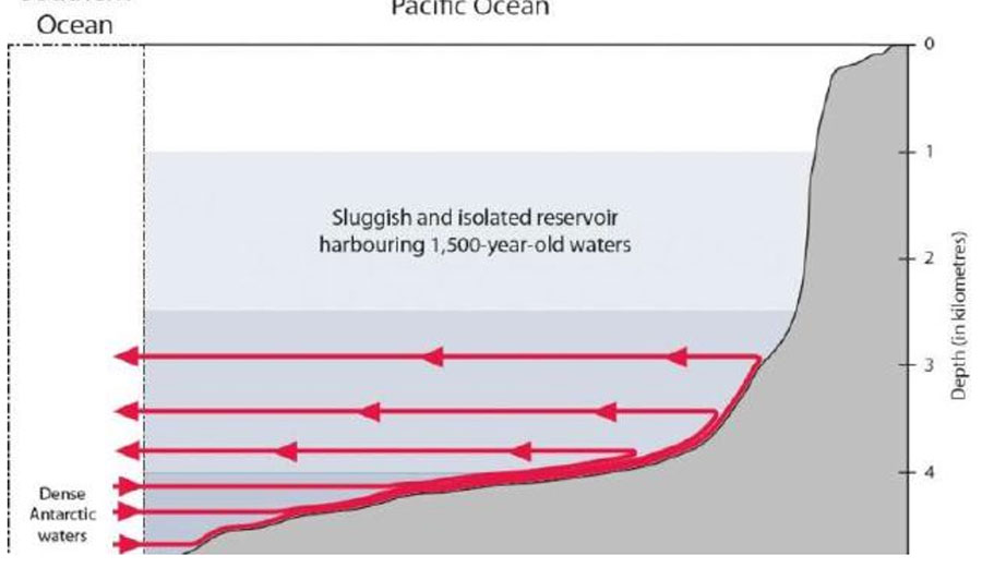 Schematic illustration of water currents. Credit: Fabien Roquet and Casimir de Lavergne Image: Supplied