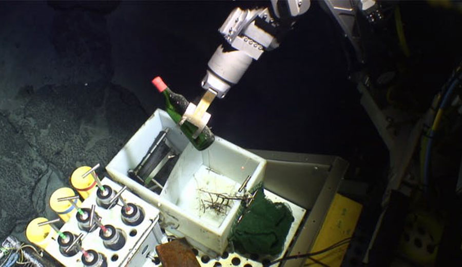 Wine bottle found in the deep North Atlantic. Laura Robinson, University of Bristol, and the Natural Environment Research Council. Expedition JC094 was funded by the European Research Council.