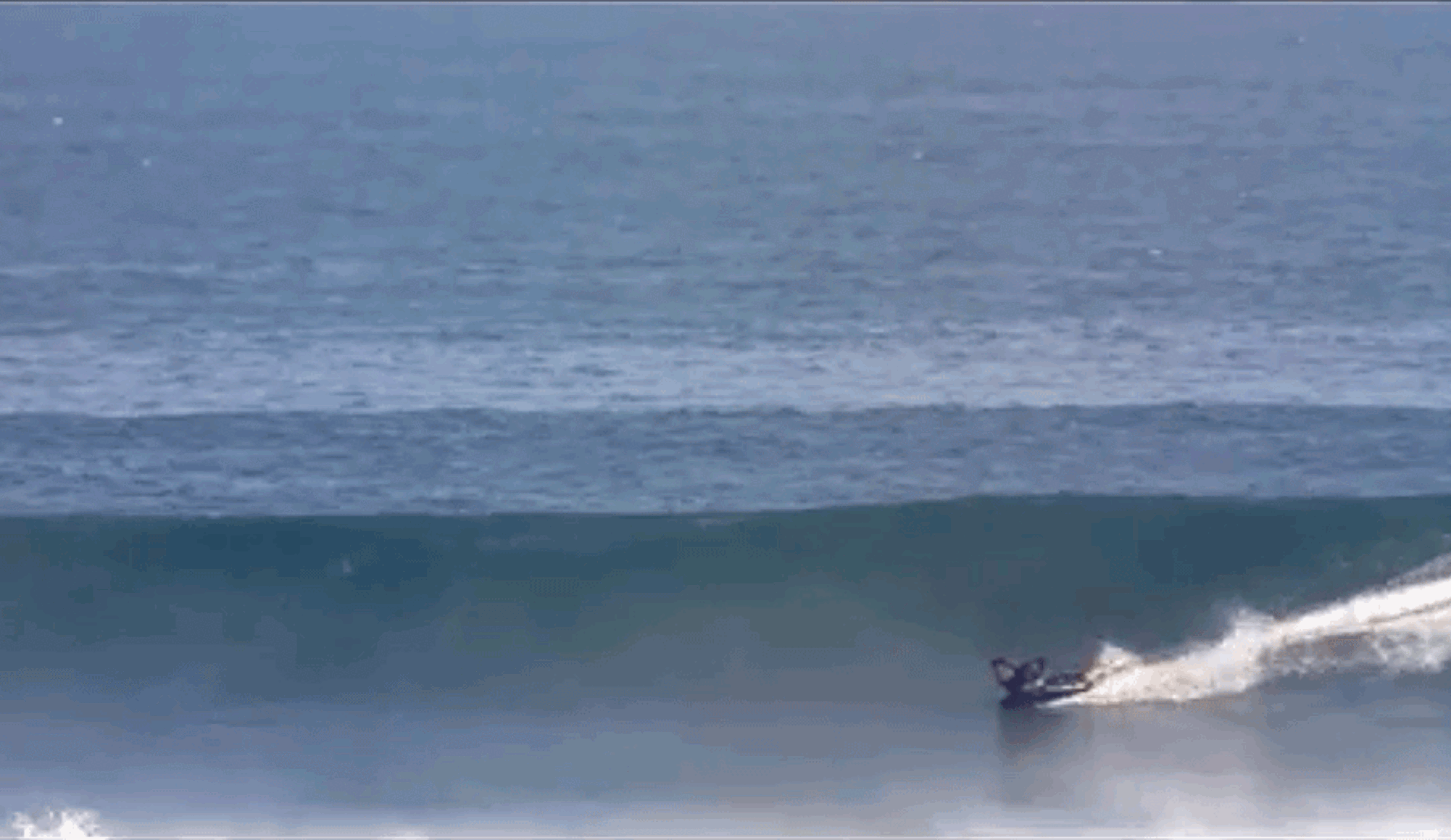 dave rastovich