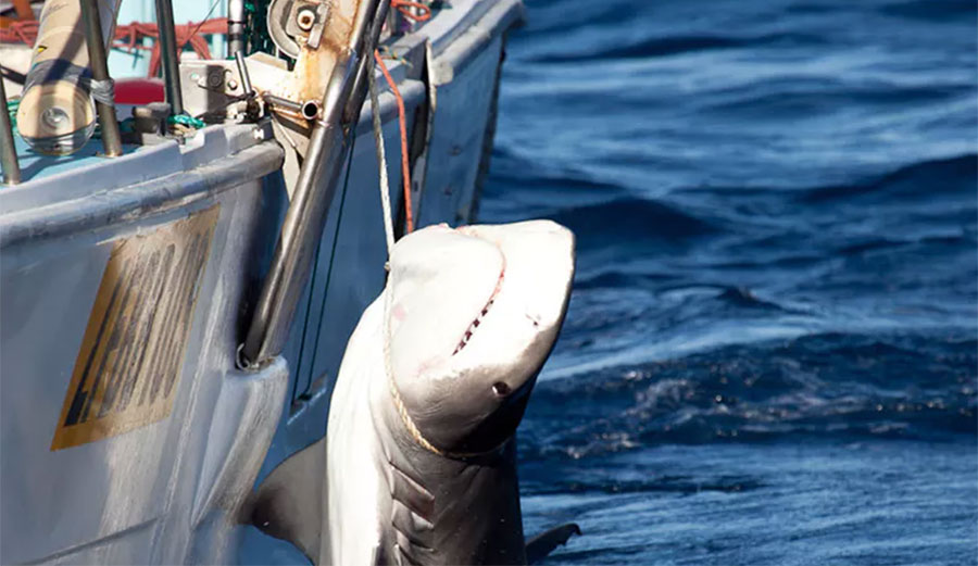 According to surveys, the public is listening to the research instead of a few frightened people.