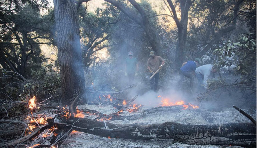 Neighbors helping neighbors. 