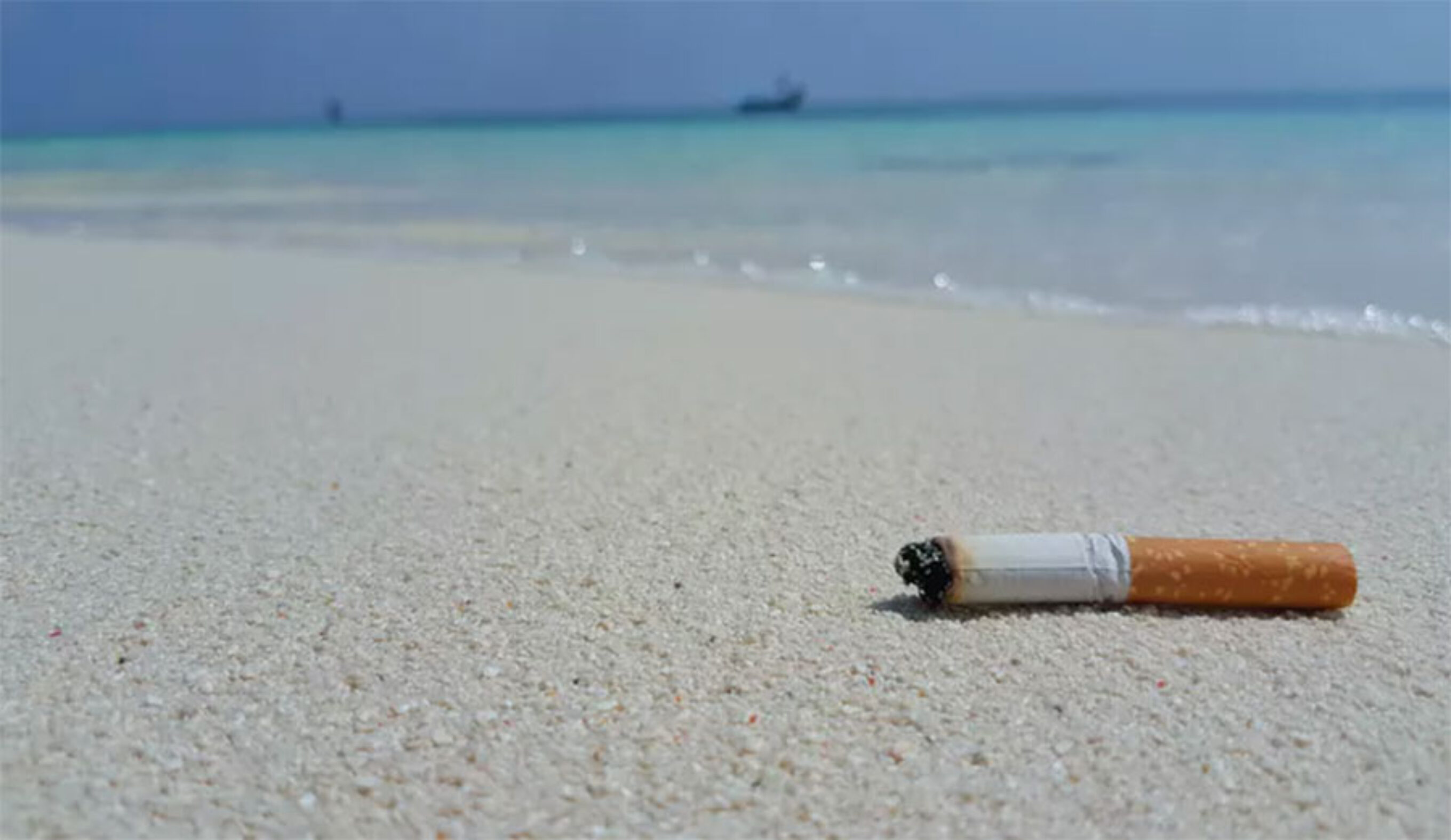 Cigarette butts last much longer than you might think.