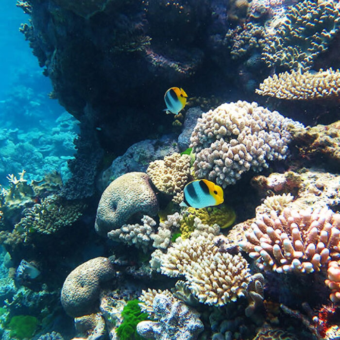 $60 million is a drop in the ocean, but we have to try. Image: Wikimedia Commons
