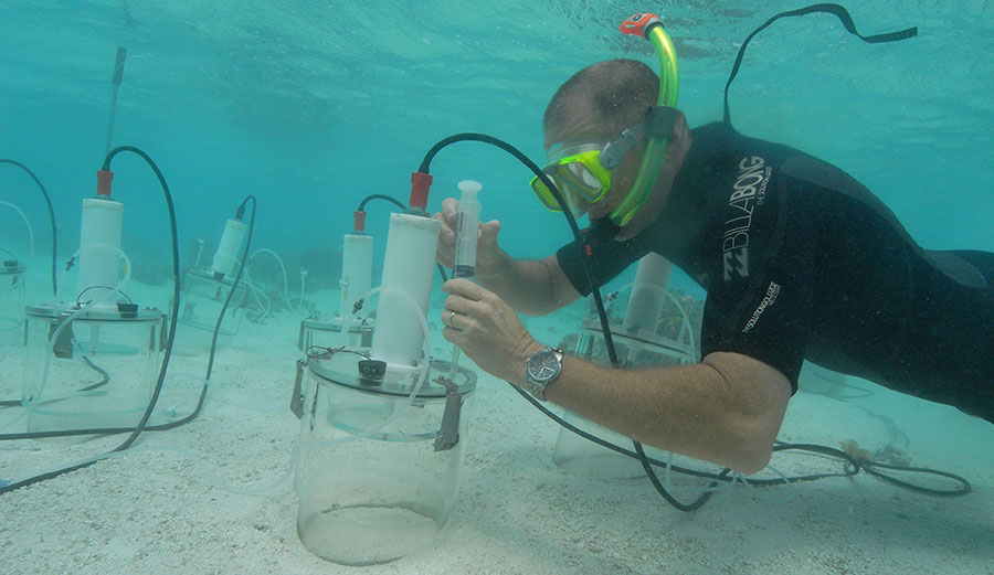 Researchers used benthic chambers (pictured) to test how different levels of seawater acidity affect reef sediments. Image: Steve Dalton/Southern Cross University