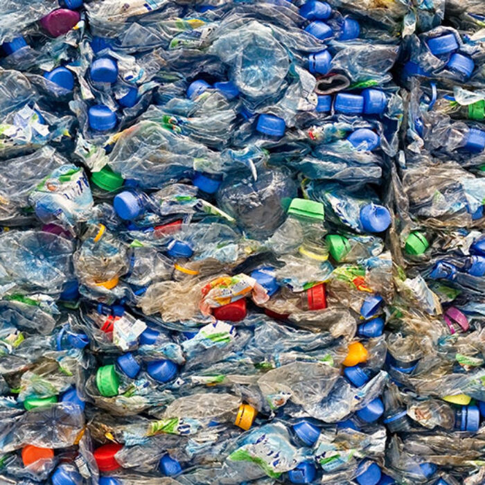 Photo: Shutterstock