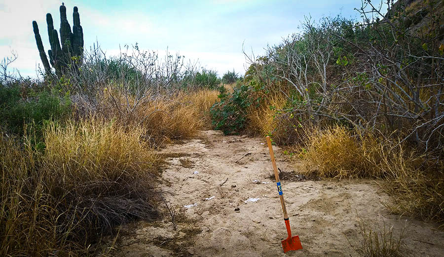 Don't be a surface-shitter. Your mother would be embarrassed.