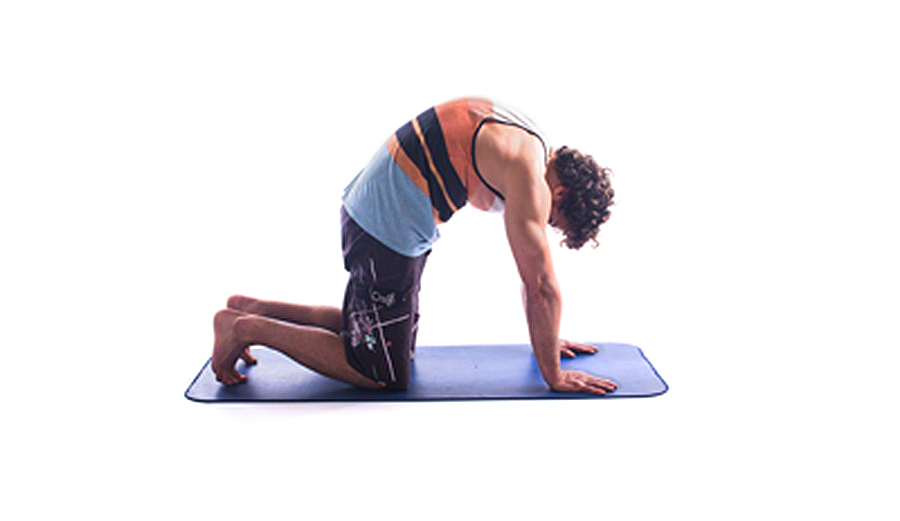 Your PreSurf Warm Up for Improved Spinal Flexibility The Inertia