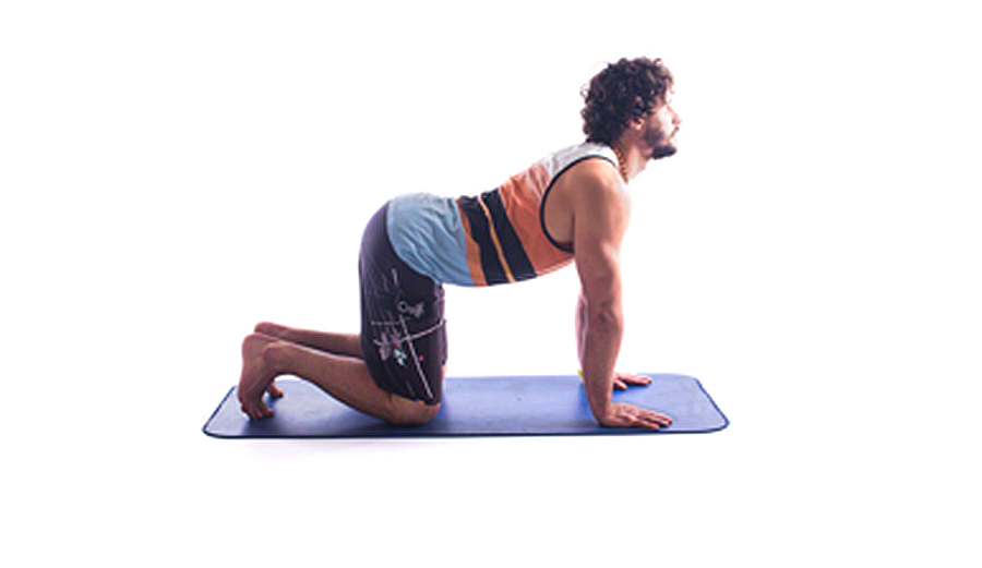 Your PreSurf Warm Up for Improved Spinal Flexibility The Inertia