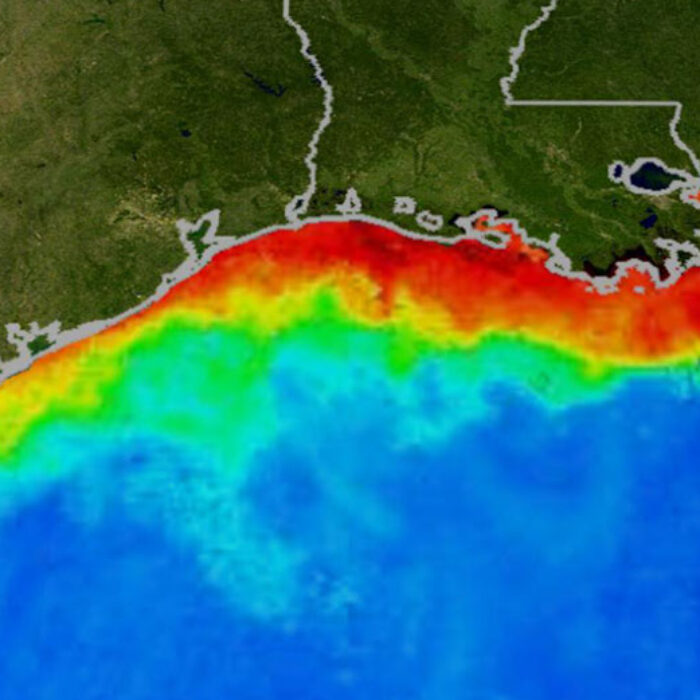 See that dead zone? Yeah, it's not going anywhere no matter what we do. Image: NASA