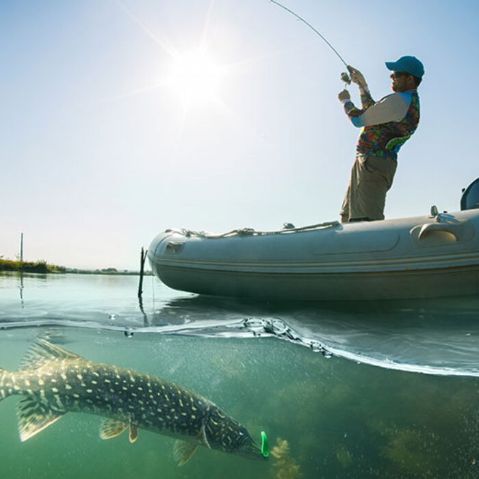 Researchers are finding plastics in fish in freshwater ecosystems. Image: Shutterstock