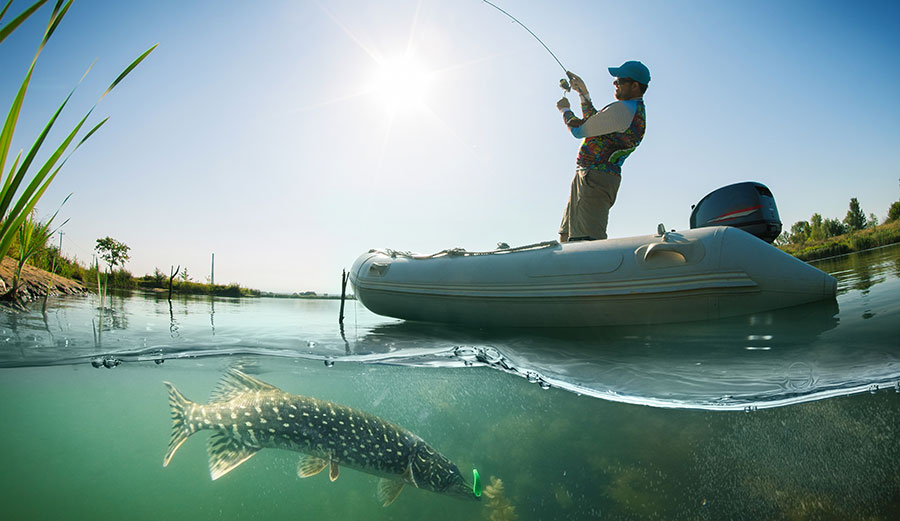 Researchers are finding plastics in fish in freshwater ecosystems. Image: Shutterstock
