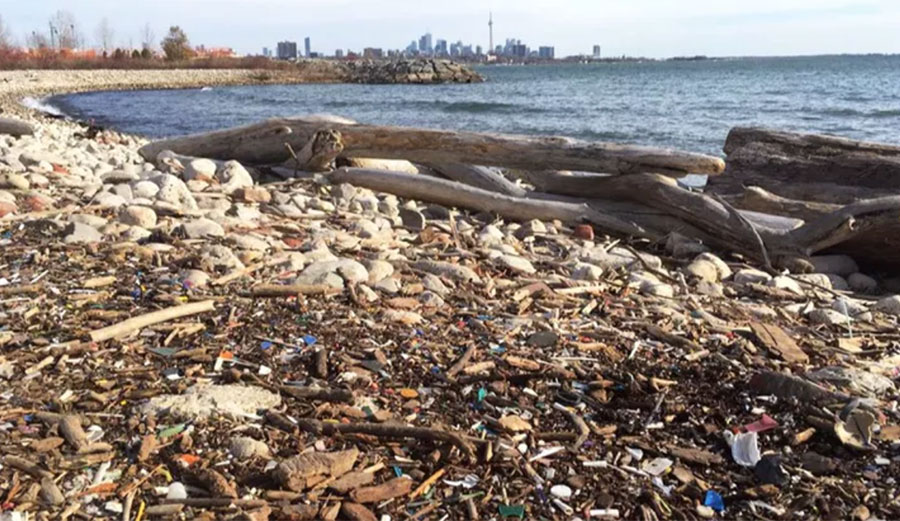 Plastic debris washed up on the shore of Lake Ontario, near Toronto. Kennedy Bucci, Author provided