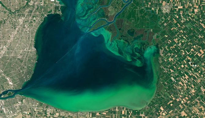 Blooms of algae, like this growth in 2015 in Lake St. Clair between Michigan and Ontario, promote the formation of dead zones. Image: NASA Earth Observatory, CC BY
