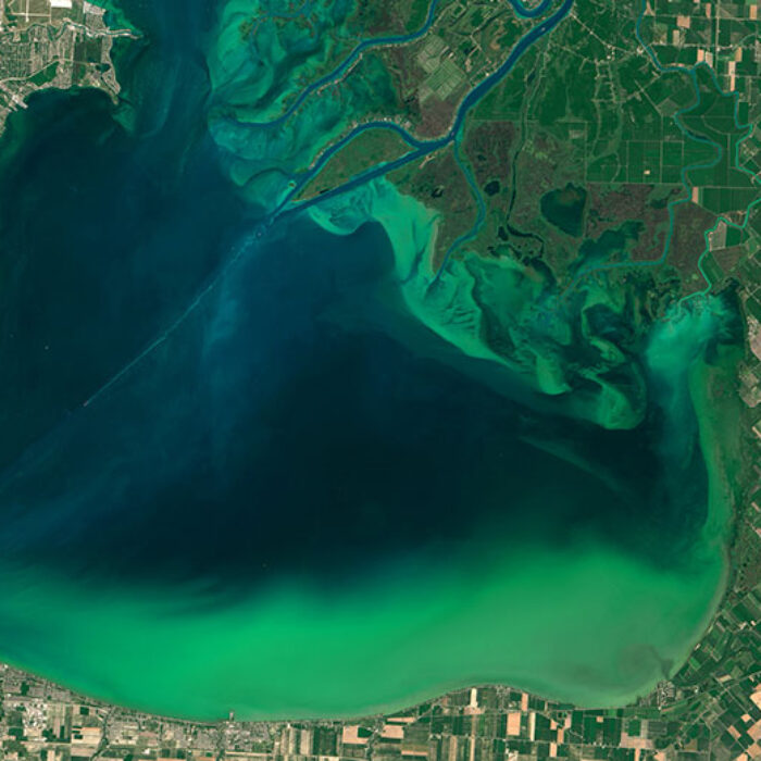 Blooms of algae, like this growth in 2015 in Lake St. Clair between Michigan and Ontario, promote the formation of dead zones. Image: NASA Earth Observatory, CC BY