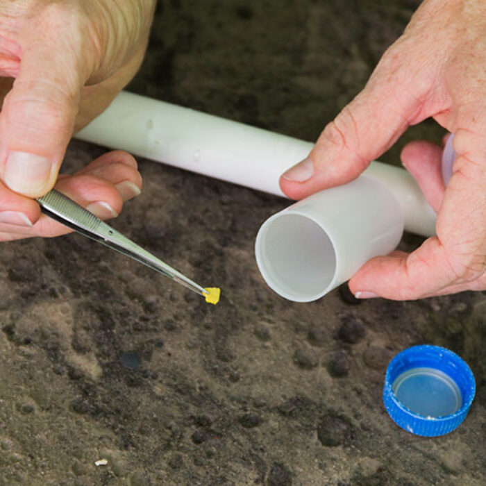 Microplastic in the soil is extremely difficult to track (or remove).