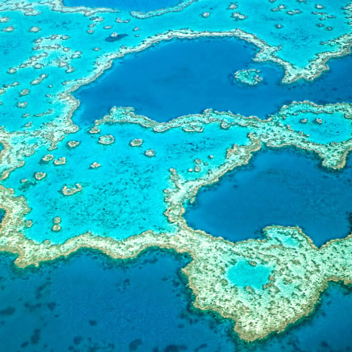 The Australian government has pledged A$500 million to try and save the Great Barrier Reef. Image: Great Barrier Reef Foundation