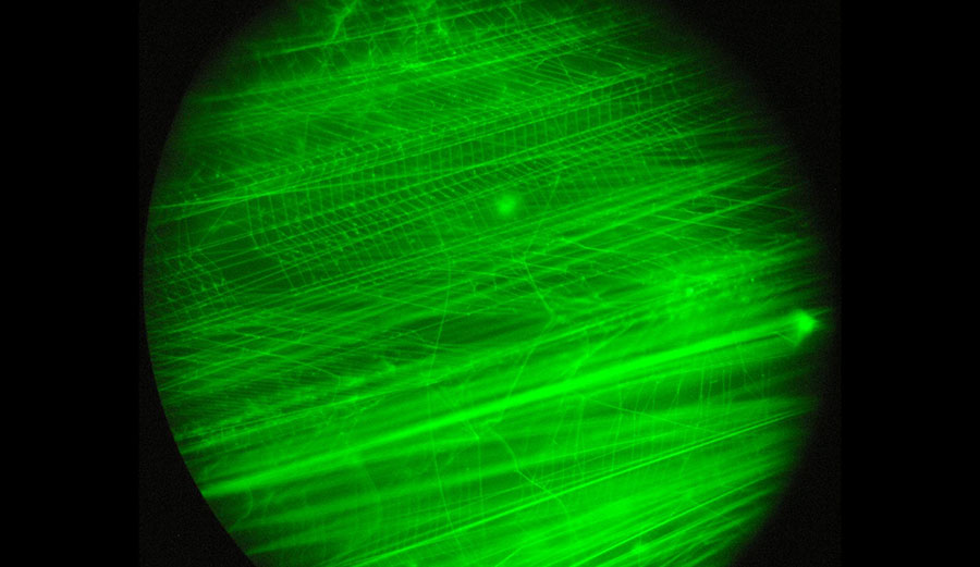 Ornate filtering meshes (amplified 1,000 times and stained bright green in this image) capture particles much smaller than the grazers themselves. Image: <a href="https://doi.org/10.1098/rspb.2018.0056">Kelly Sutherland</a>/<a href="https://creativecommons.org/licenses/by/4.0/">CC BY</a>
