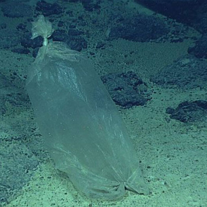 Plastic ice bag found by a NOAA expedition to the Marianas in 2016. Image: NOAA Office of Ocean Exploration and Research