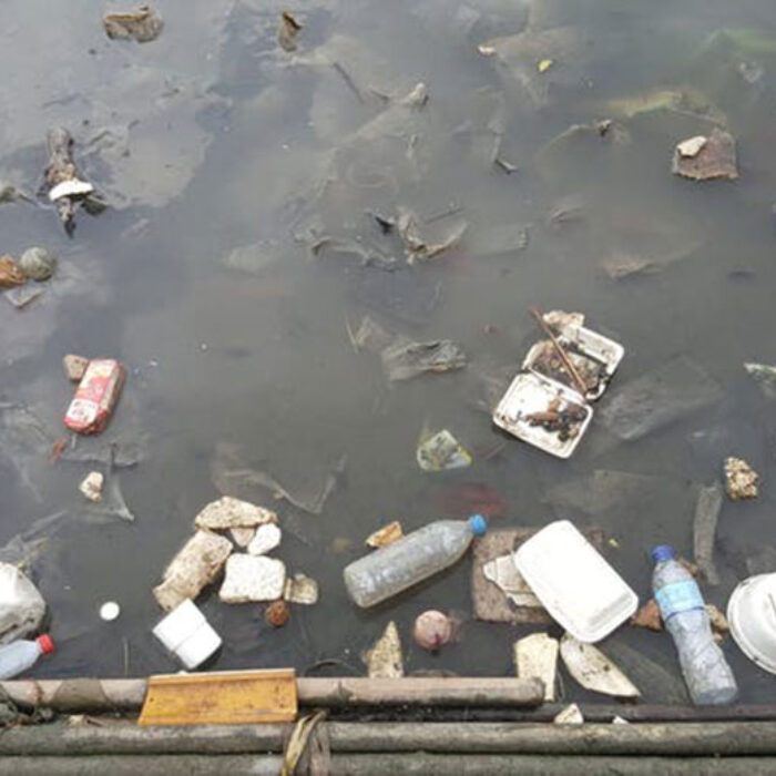 The most dangerous element from discarded plastic waste is microplastics. Image: Shutterstock