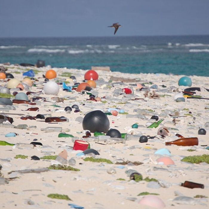 Plastic on a beach
