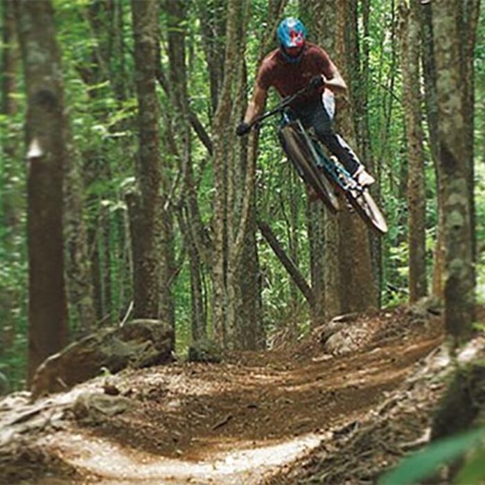 surfing, mountain biking, albee layer