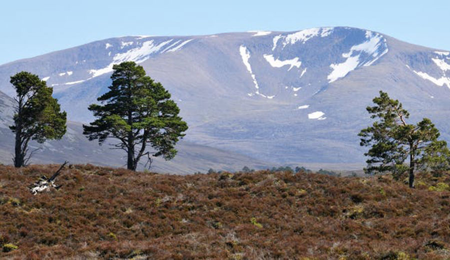 Pictures of the Cairngorms can reveal more than just their natural beauty. Image: Peter Mulligan via Flickr, CC BY