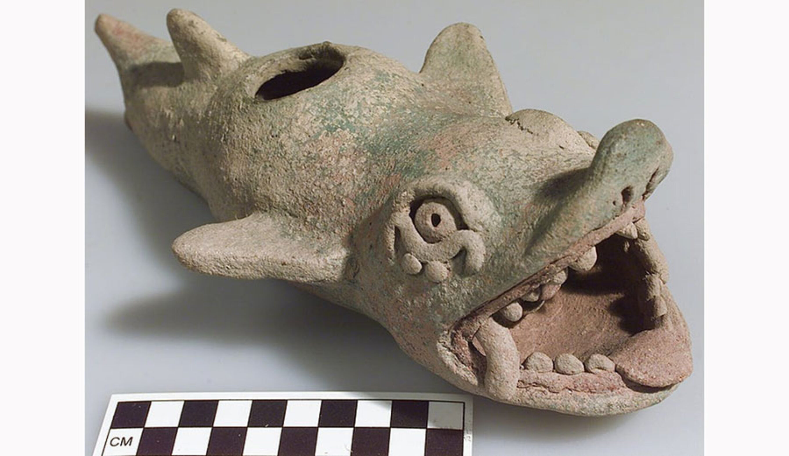 A Mayan vessel of a shark with a man in its mouth, circa AD 1450-1550. National Museum of the American Indian