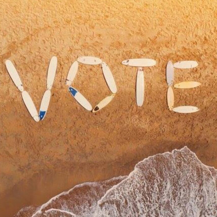 You surf. You should vote. Image: Blue Uprising/Facebook