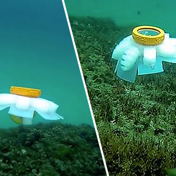 jellyfish, robots, explore, observe, Reddit, Flipboard