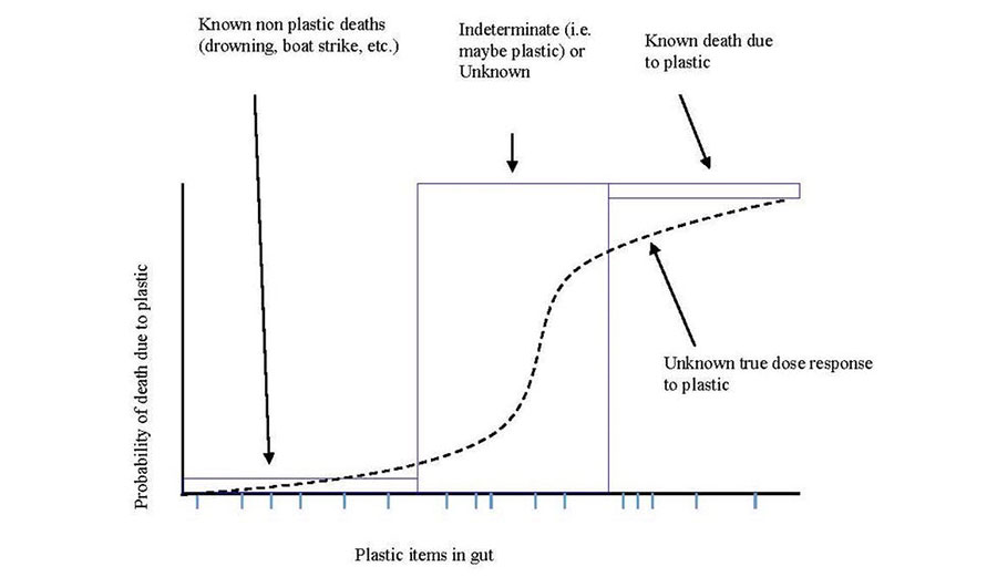 probability of death due to plastic debris ingestion