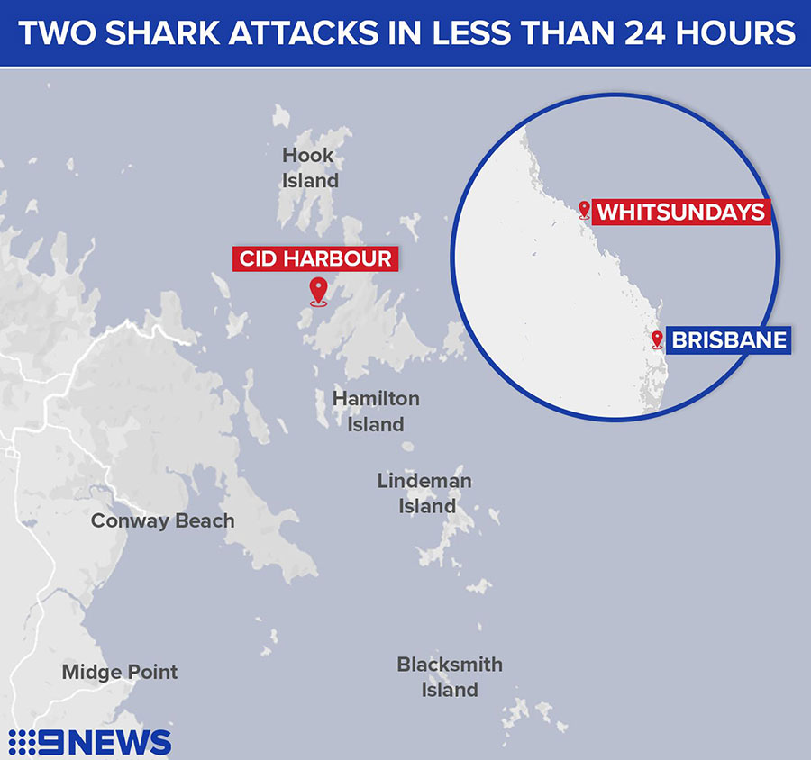 Whitsunday Island shark attack