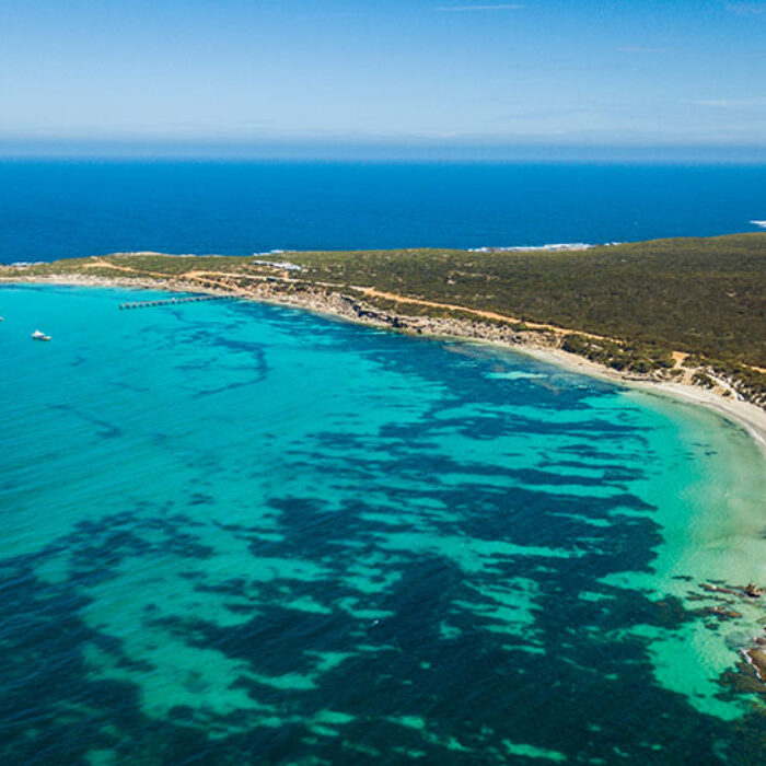 shark spotting drone australia