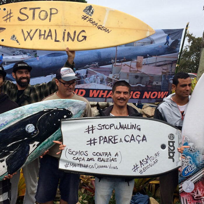 International Whaling Commission Brazil