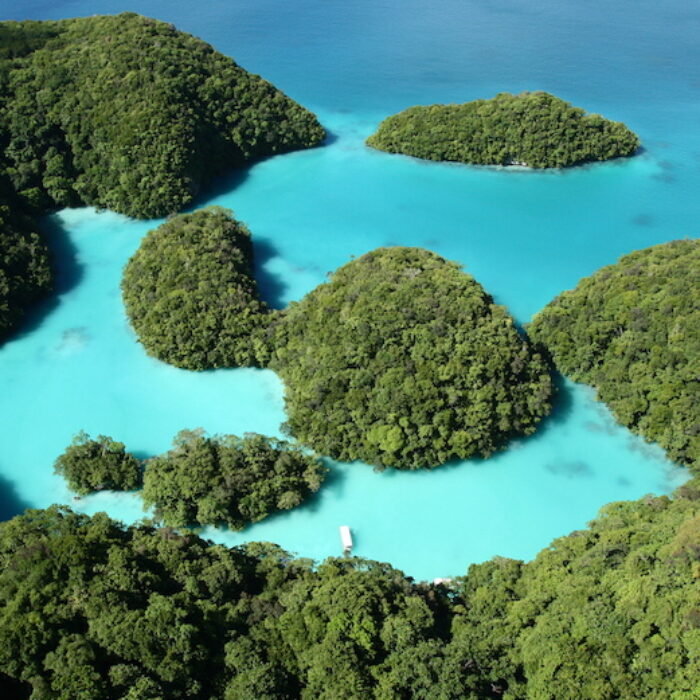 Palau not only just banned sunscreens known to harm coral reefs. By 2020, if you're caught using them you could be slapped with a heavy fine. Photo: Wikimedia Commons