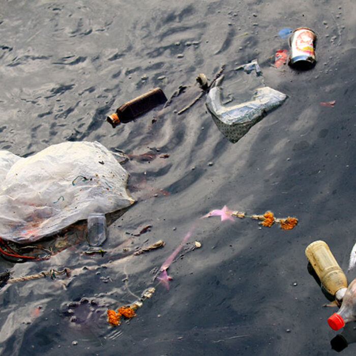 If all coastal states in the United States implemented deposit schemes, there would be 6.6 million fewer containers on the shoreline each year.