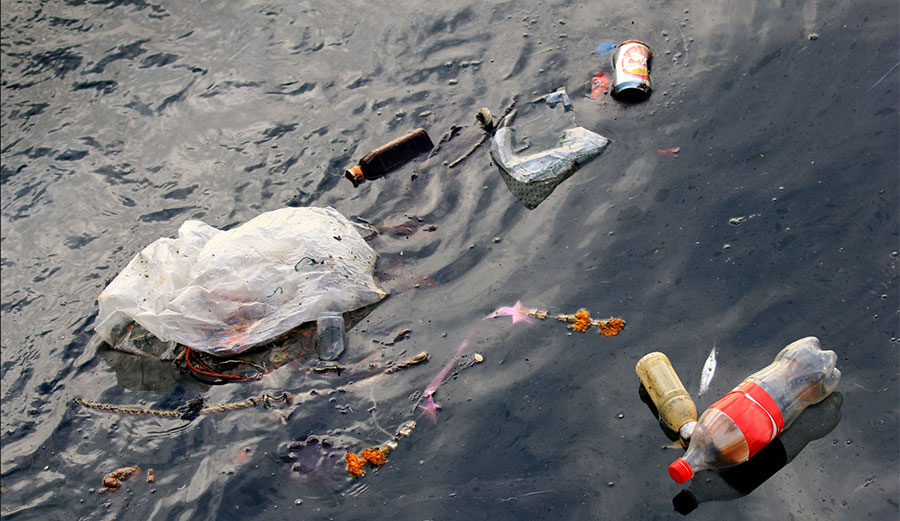 This Simple Scheme Reduced Drink Containers In the Ocean by 40 The Inertia