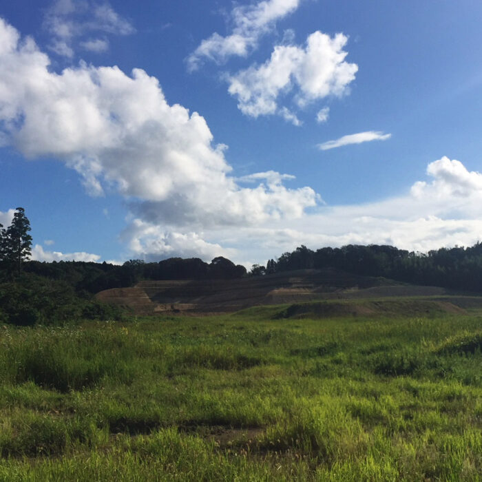 Is this where we'll be watching surfing at the 2020 Olympics? Lots of work is left to be done. Photo: Jamie Tierney
