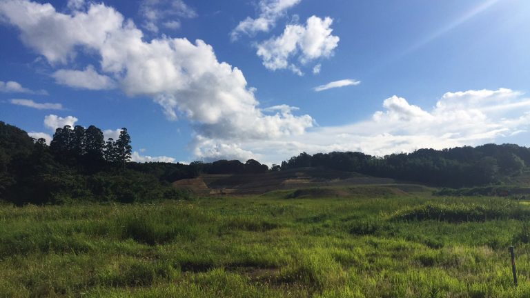 Is this where we'll be watching surfing at the 2020 Olympics? Lots of work is left to be done. Photo: Jamie Tierney