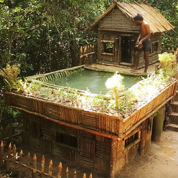House in the jungle