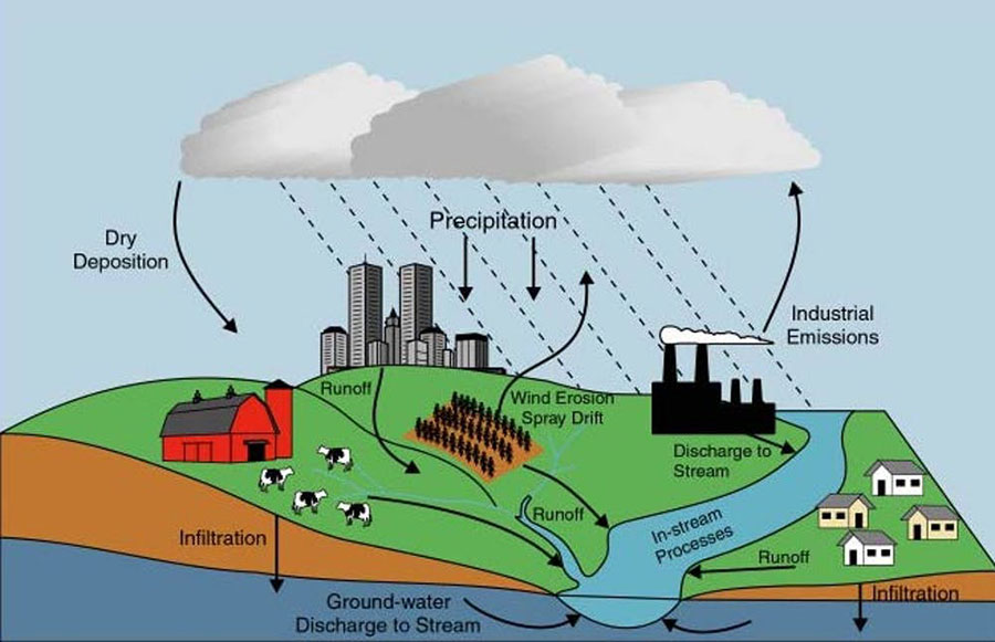 Nutrient pollution sources include decaying organic material; fertilizers applied to crops, lawns and golf courses; manure from fields or feedlots; atmospheric deposition; groundwater discharge; and municipal wastewater discharge. USGS