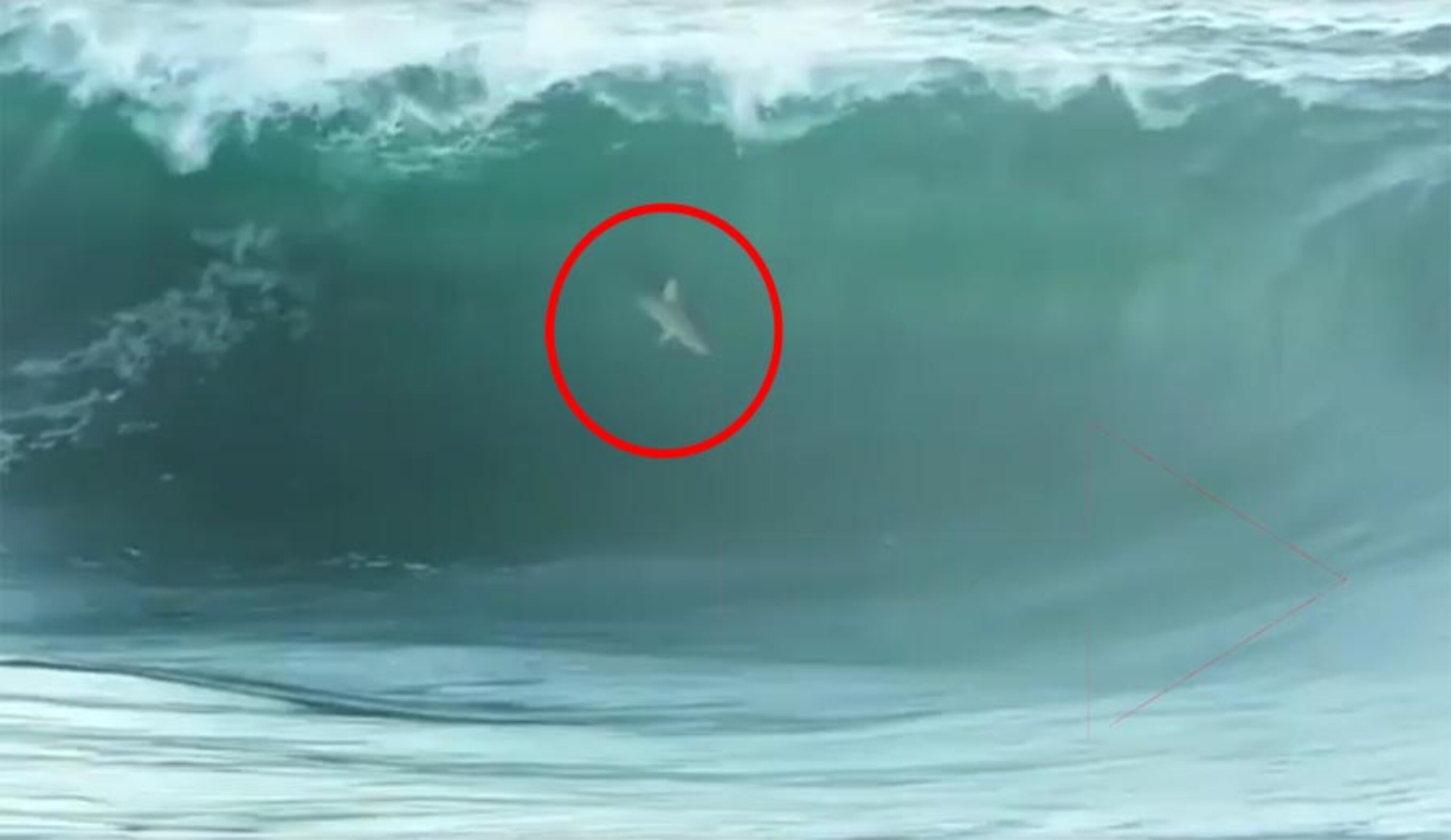 wave, barrel, surf, shark, over the falls
