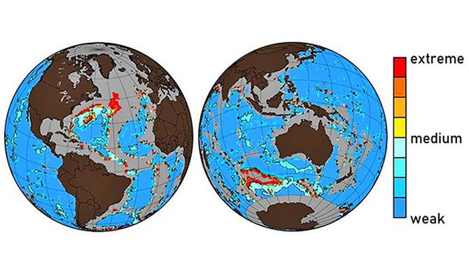 ocean, ocean acidification, climate change, 