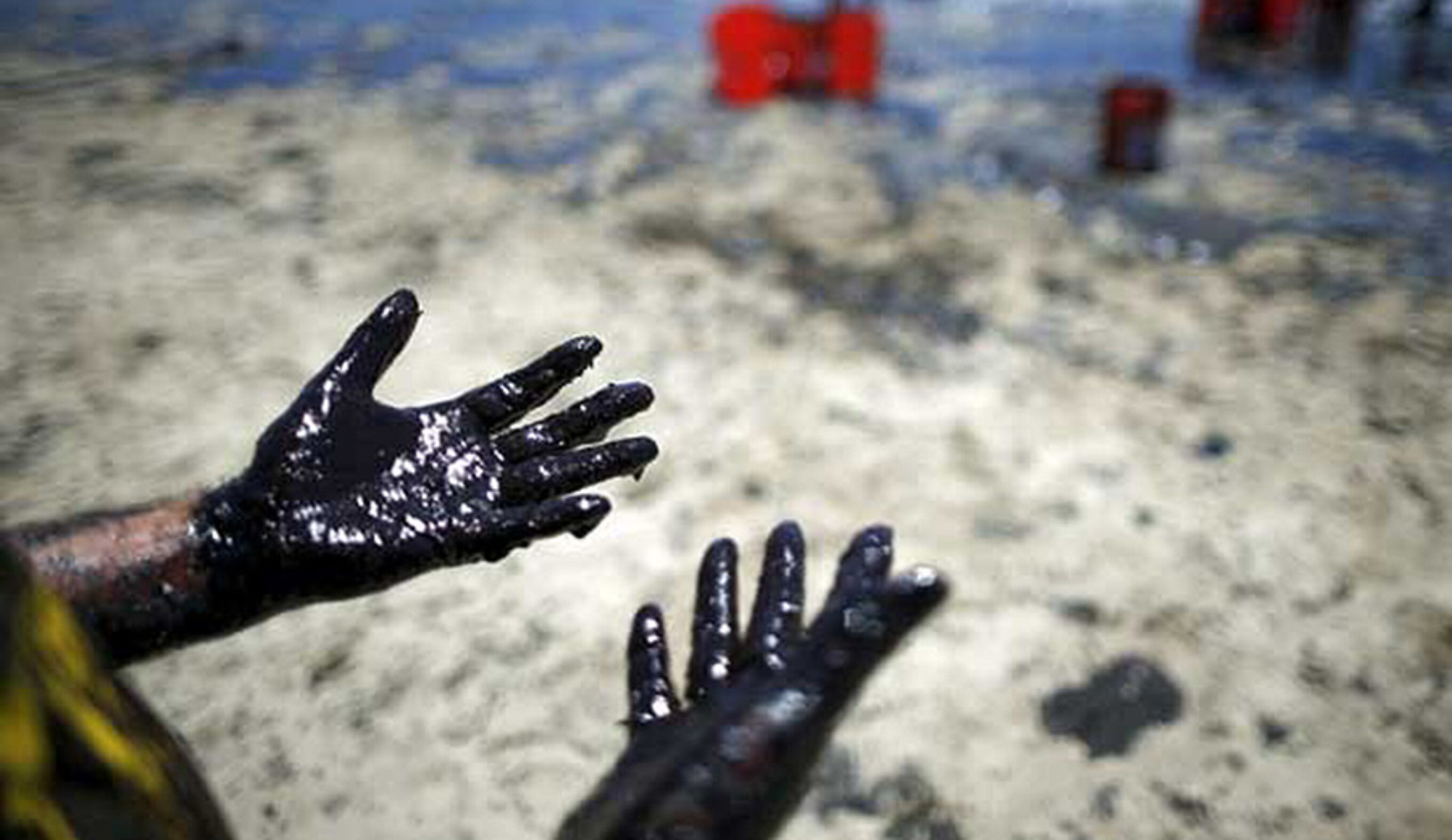 surfing, environmental activism, oil, oil drilling, patagonia, never town,