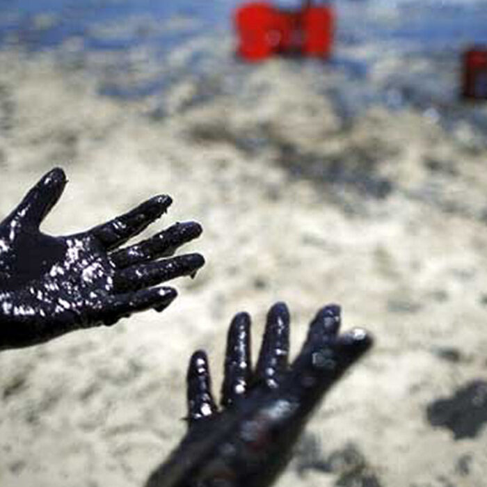 surfing, environmental activism, oil, oil drilling, patagonia, never town,