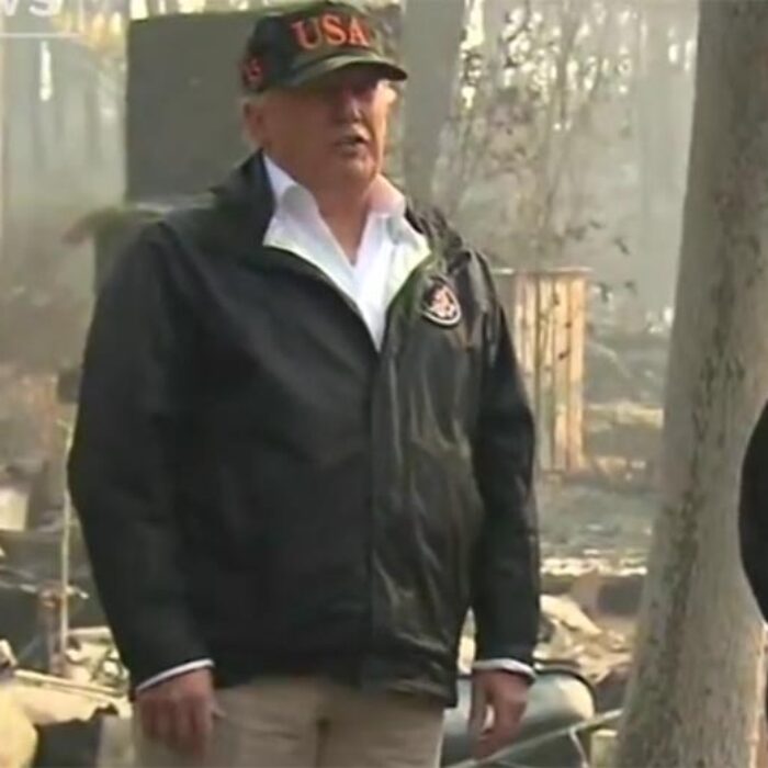 rake, forest fires, wildfires, President Trump,