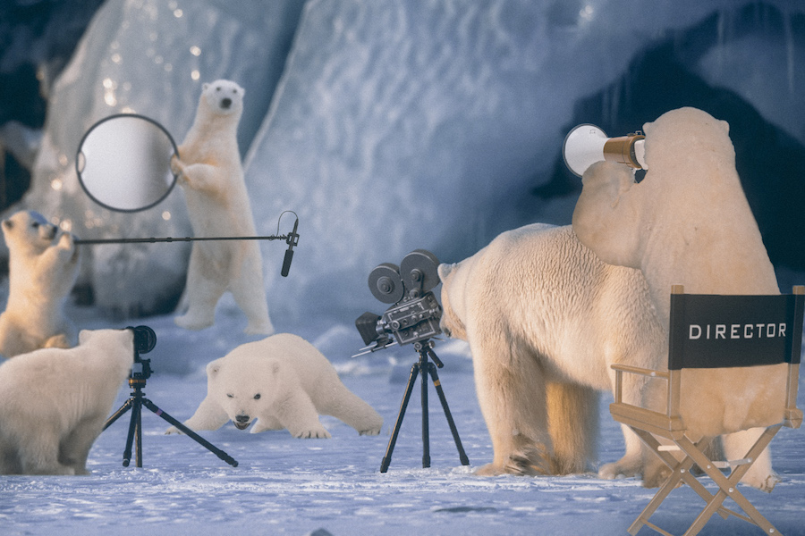 Action! Photo: Reddit/u/Shashakeitup