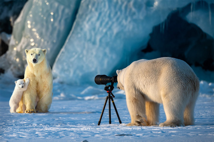 Say cheese! Photo: Reddit/u/einlj
