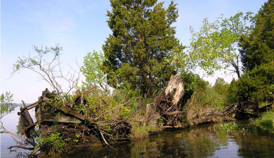 Ghost fleet ship near the Potomac