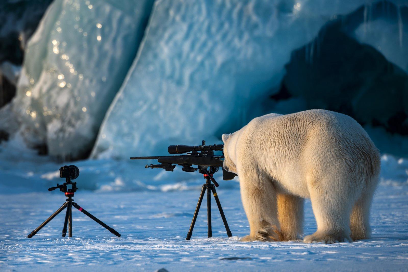 Arctic sniper. Photo: Reddit/u/SalazarRED